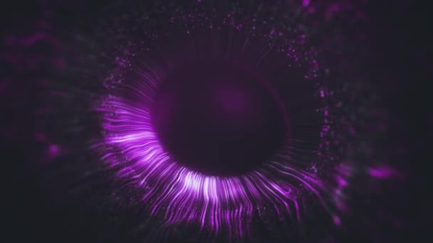 Paars gekleurde lijnen na een ontploffing verspreiden uit een heldere cirkel en vormen volumetrisch menselijk blauw oog model. Menselijke iris van het oog concept. 3d weergave van geanimeerde abstracte achtergrond in 4K. — Stockvideo