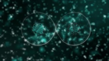 Coronavirus 2019-nCov patojeni, siyah zemin üzerinde yeşil hücreler olarak sunulan organizmanın içinde hareket eder. Koronavirüs, SARS, MERS gibi tehlikeli virüs vakaları. 3D görüntüleme 4K video kapanıyor.