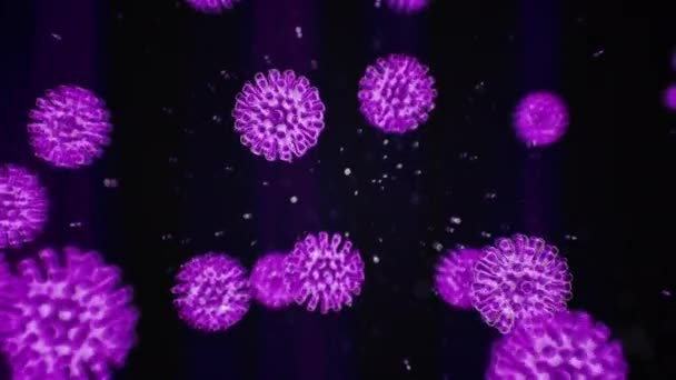 Pathogen of coronavirus covid19 inside infected organism. Virus under microscope as purple cells on black background. Dangerous virus strain cases leading to epidemic. 3d rendering animation in 4K. — Stock Video