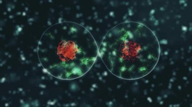 Mikrop kapmış organizmanın içindeki Coronavirus 2019-nCov patojeni siyah zemin üzerinde kahverengi yuvarlak hücreler olarak gösterilmiştir. 2019-nCoV, SARS, H1N1, MERS ve diğer salgın virüsler konsepti. 3D görüntüleme 4K.