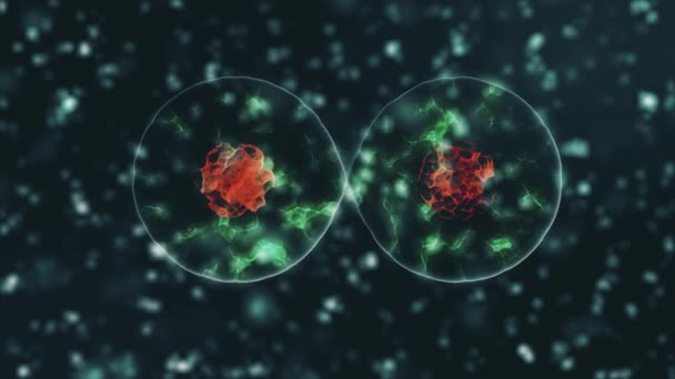 Erreger des Coronavirus 2019-nCov im infizierten Organismus, dargestellt als braune runde Zellen auf schwarzem Hintergrund. 2019-nCoV, SARS, H1N1, MERS und andere epidemische Viren. 3D-Darstellung von 4K-Videos. — Stockvideo