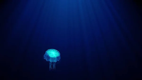 Las medusas transparentes luminosas flotan lentamente bajo el agua en los rayos de luz. patrón bioluminiscente en el cuerpo brilla con todos los colores del arco iris 3d render uhd 4k 3840 2160 —  Fotos de Stock
