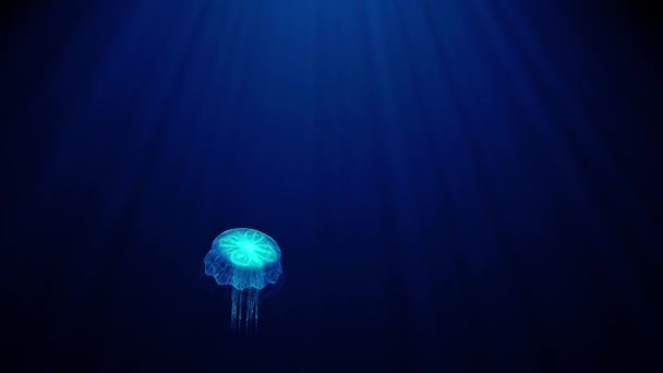 Ljusgenomskinlig manet flyter långsamt djupt under vattnet i ljusstrålarna. bioluminiscent mönster på kroppen skimrar med alla färger i regnbågen 3d render uhd 4k 3840 2160 — Stockvideo