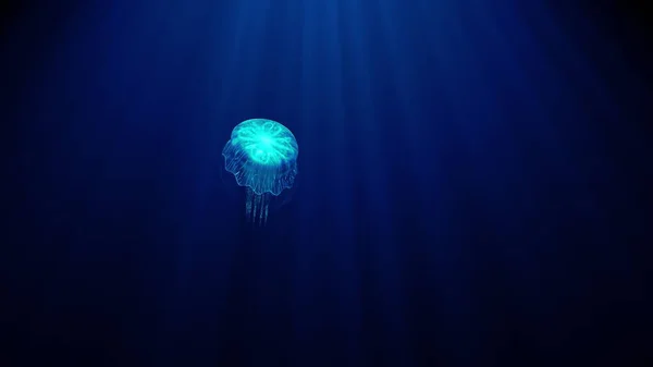 Las medusas transparentes luminosas flotan lentamente bajo el agua en los rayos de luz. patrón bioluminiscente en el cuerpo brilla con todos los colores del arco iris 3d render uhd 4k 3840 2160 —  Fotos de Stock