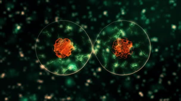 Patógeno del coronavirus 2019-nCov dentro del organismo infectado presentado como células redondas de color azul sobre fondo negro. 2019-nCoV, SARS, H1N1, MERS y otros virus epidémicos concepto. representación 3d en 4K. — Vídeo de stock