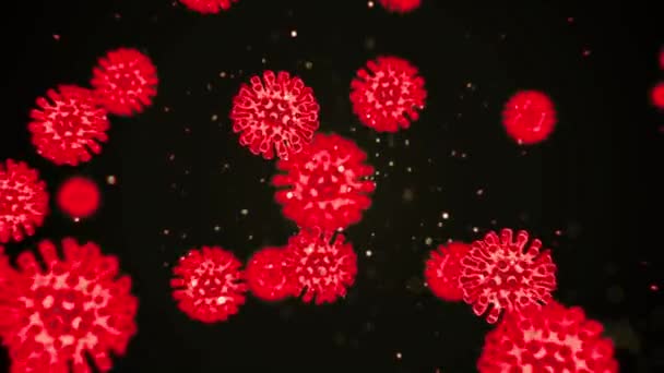 Visualização da infecção pelo Coronavirus COVID19. As células de patoghen estão dentro do ser humano infectado mostrado como microrganismos esféricos de cor vermelha de néon no fundo preto. Conceito abstrato em 3D renderização de vídeo 4K . — Vídeo de Stock