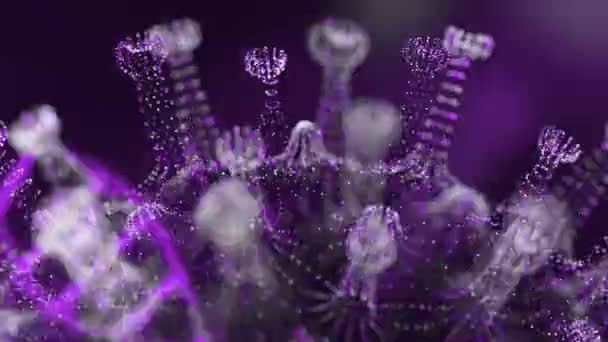 Cellules virales du coronavirus 2019-nCov dans les vaisseaux sanguins sous forme de cellules grises rondes sur fond noir. Concept animé de cas de souches virales dangereuses comme le coronavirus, le SRAS, le SRMO. rendu 3d vidéo 4K . — Video