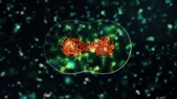 Visualisierung der Infektion mit dem Virus Coronavirus 2019-nCoV. Erregerzellen in infizierten menschlichen Zellen als neongrüne kugelförmige Mikroorganismen auf schwarzem Hintergrund. Animiertes 3D-Rendering in Nahaufnahme 4K-Video. — Stockfoto