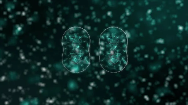 コロナウイルスの病原体2019-nConvは、黒の背景に緑の細胞として提示された生物内を移動します。コロナウイルス、 SARS 、 MERSの概念のような危険なウイルス株の場合。3Dレンダリングを閉じる4Kビデオ. — ストック写真