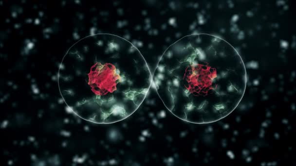 Patogen av coronavirus 2019-nCov inuti infekterade organism illustrerad som gula runda celler på svart bakgrund. 2019-nCoV, SARS, H1N1, MERS och andra epidemiska virus koncept. 3D-återgivning av 4K-video. — Stockvideo