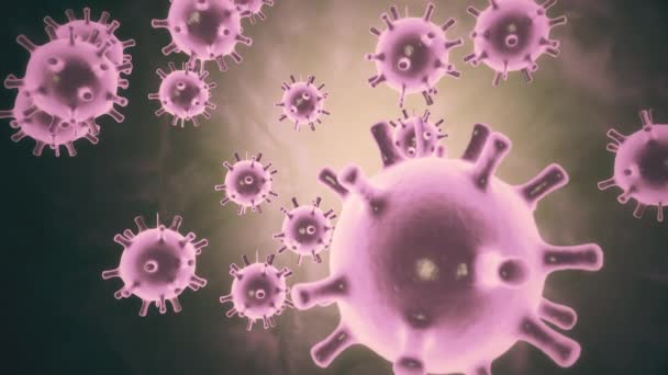 Visualizzazione dell'infezione da virus. Cellule patogene Coronavirus 2019-nCoV all'interno di umani infetti mostrati come microrganismi sferici di colore rosa su uno sfondo nero. Rendering 3d animato primo piano video 4K . — Video Stock