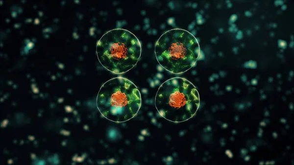 ウイルスコロナウイルス2019-nCoV感染可視化。黒の背景にネオングリーンの球状微生物として示されるヒト感染中の病原細胞。アニメーション3Dレンダリングが4Kビデオを閉じます. — ストック写真