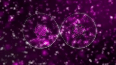 Koronavirüsün 3 boyutlu canlandırması. Bakteri ve virüs salgını, Coronavirus 2020 gibi mikroorganizmalara neden olan hastalık.