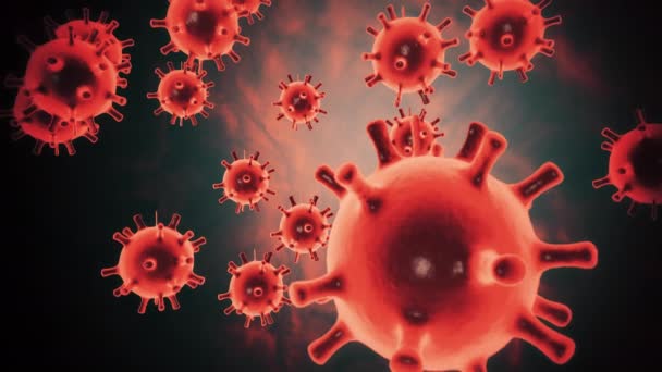 Coronavirus COVID-19 enfeksiyon hastalığı. Elektron mikroskobunda büyütme altında kırmızı renkli virüs hücreleri şeklinde siyah zemin üzerinde yüzen patojen. 3D canlandırma konsepti 4K video. — Stok video