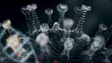 Mikrop kapmış organizmanın içindeki Coronavirus 2019-nCov patojeni siyah zemin üzerinde sarı yuvarlak hücreler olarak gösteriliyor. 2019-nCoV, SARS, H1N1, MERS ve diğer salgın virüsler konsepti. 3D görüntüleme 4K.