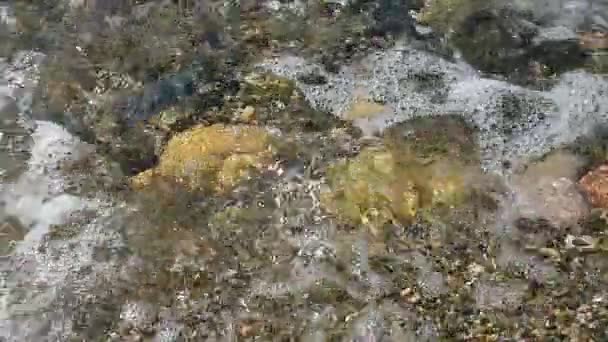 小卵石滩 — 图库视频影像