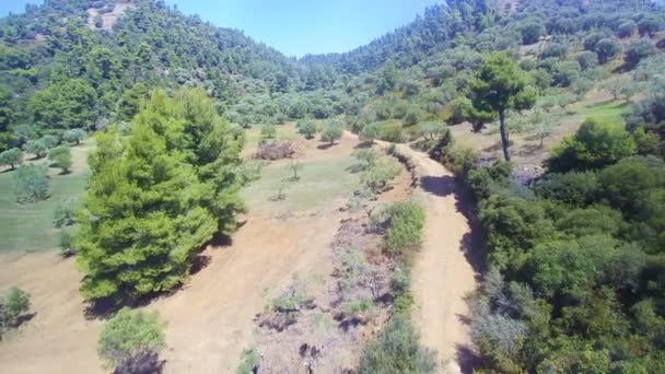 Trilha florestal na Grécia — Vídeo de Stock