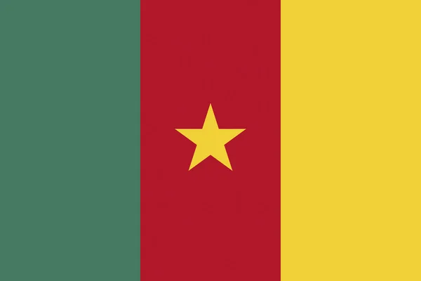Vlajka Kamerunu. — Stock fotografie