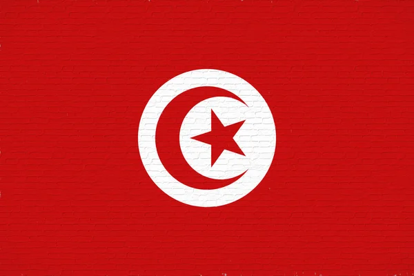 Grunge Tunézia zászlaja. — Stock Fotó