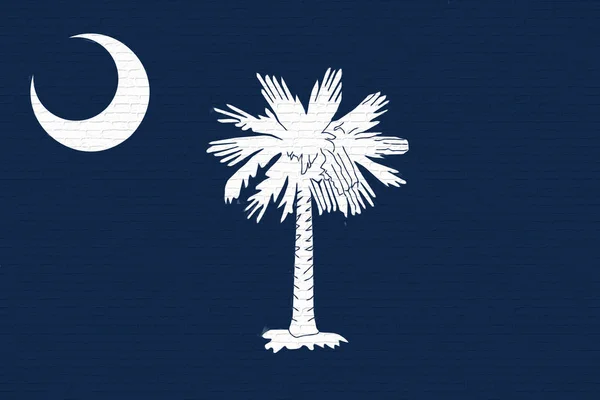 Vlag van South Carolina muur — Stockfoto