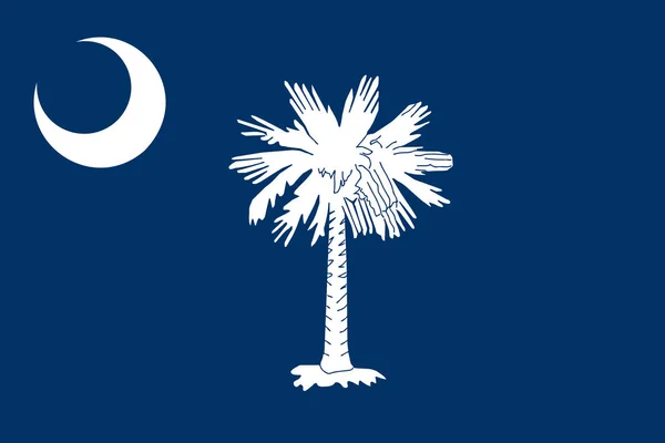 South Carolinas flagga — Stockfoto