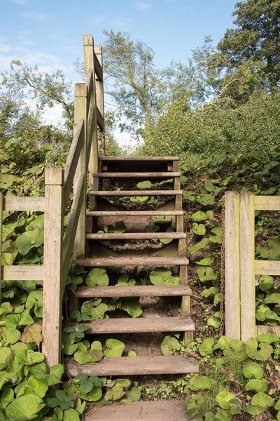 Flight of Wooden Steps — Stock Photo, Image