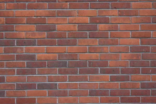 New Brick Wall — Stock Photo, Image