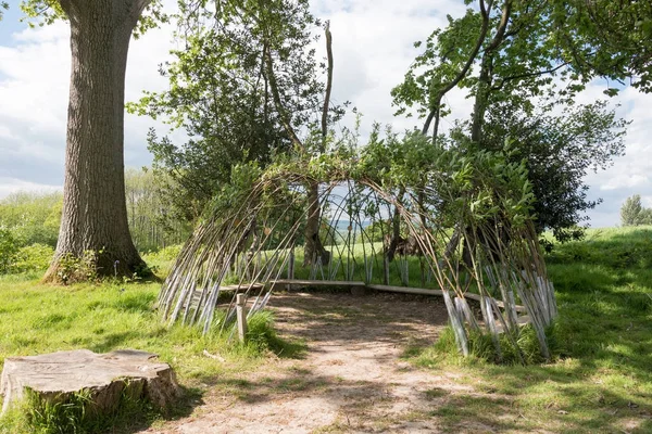 Weidenhütte — Stockfoto