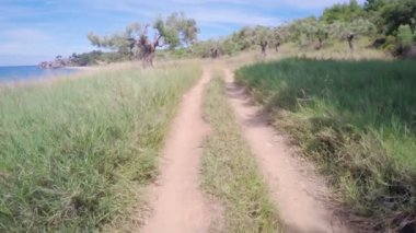 Havadan görüntüleri bir dirt track bir Olive Grove aracılığıyla takip.