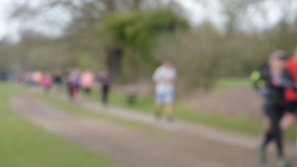 Out Focus Footage Group Runners Countryside — Stock Video