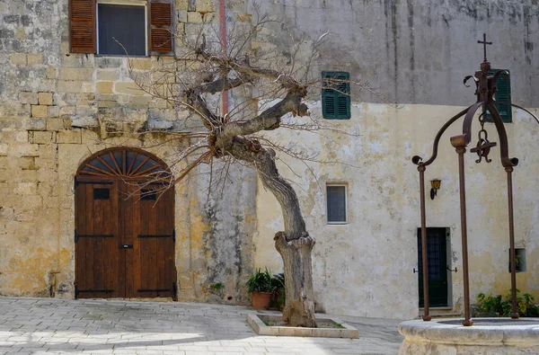 Brunnen Und Baum Auf Dem Misrah Mesquita Platz Mdina Malta — Stockfoto