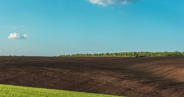 ürün ekme ve yetiştirme için verimli tarlalar