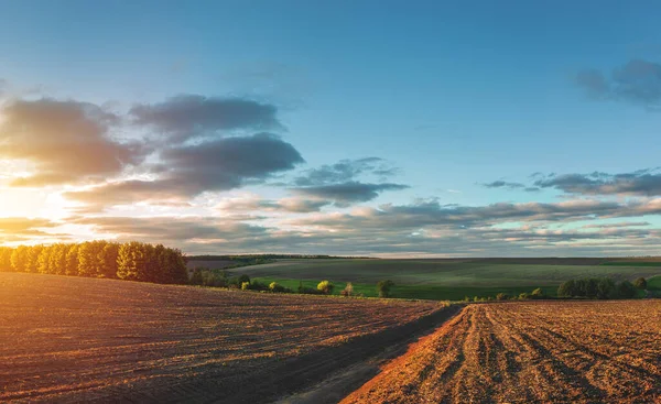 Campos Agrícolas Férteis Para Sementeira Cultura — Fotografia de Stock