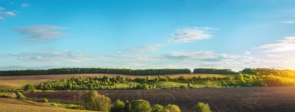 ürün ekme ve yetiştirme için verimli tarlalar