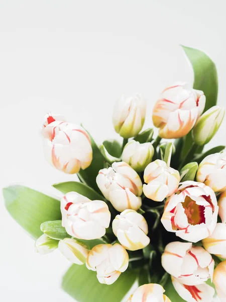 Vista Superior Buquê Tulipa Fresca Fundo Branco — Fotografia de Stock