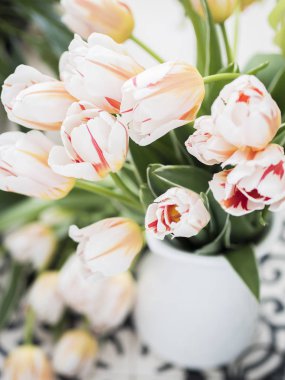 Tablo tek renkli desenli beyaz sürahi taze Lale buketi