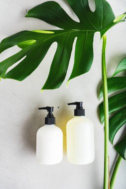 Cilt kremi, şampuan ve yeşil yapraklı gri arka planda saç kremi için iki adet boş etiket şişesi. Doğal güzellik ürünü konsepti.