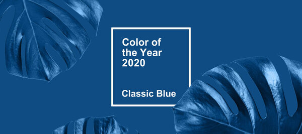The tropical frame with monstera leaves in the blue classic color of the 2020 year. Concept of the color of the year.