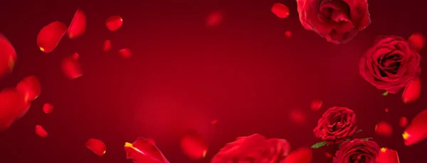 Pétalas Voadoras Rosas Vermelhas Fundo Vermelho Com Espaço Cópia Levitação — Fotografia de Stock