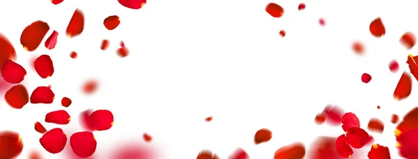 Létající Okvětní Lístky Červené Růže Izolované Bílém Pozadí Kopírovacím Prostorem — Stock fotografie
