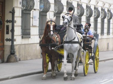      Viyana'da arabasındaki bebek harika böyle atları ile gidebilirsin. Avusturya.                          
