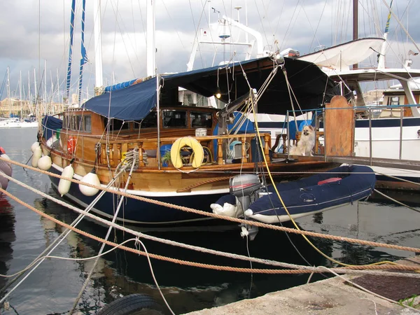 Harbor Sliema Magnificent Yachts Malta — Stock Photo, Image