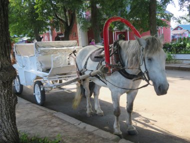 - Rusya. Altın yüzük. Suzdal şehri. Böylesine eski bir vagonda, bugün herkes antik şehrin sokaklarında at binebilir..                               