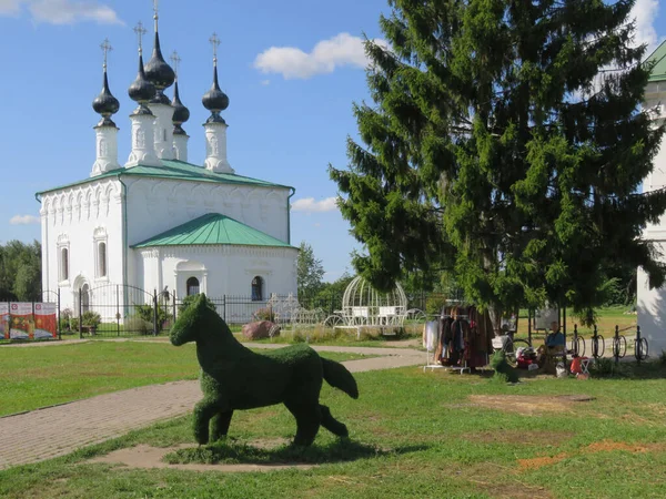 ロシアだ 黄金の指輪 スズダルの街 このような緑の馬は街を飾る 生きてるみたいだ — ストック写真