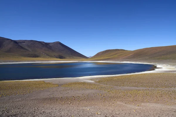 Lagunas Altiplanicas Atacama Chile — Fotografia de Stock