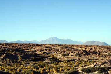 Lagunas Altiplanicas, Atacama, Şili.