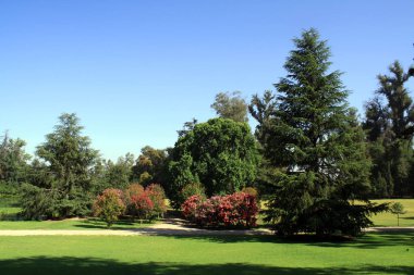 Güzel Bahçe, Santiago, Chile.