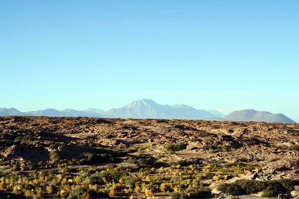 Lagunas Altiplanicas Atacama Cile — Foto Stock