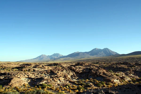 Lagunas Altiplanicas Atacama Cile — Foto Stock