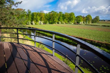 Kanal boyunca bahar lale tarlası
